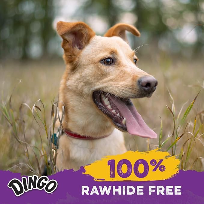 Dingo Porkie Rolls 15 Count, Pork Hide Chews for Dogs, Made with Real Chicken