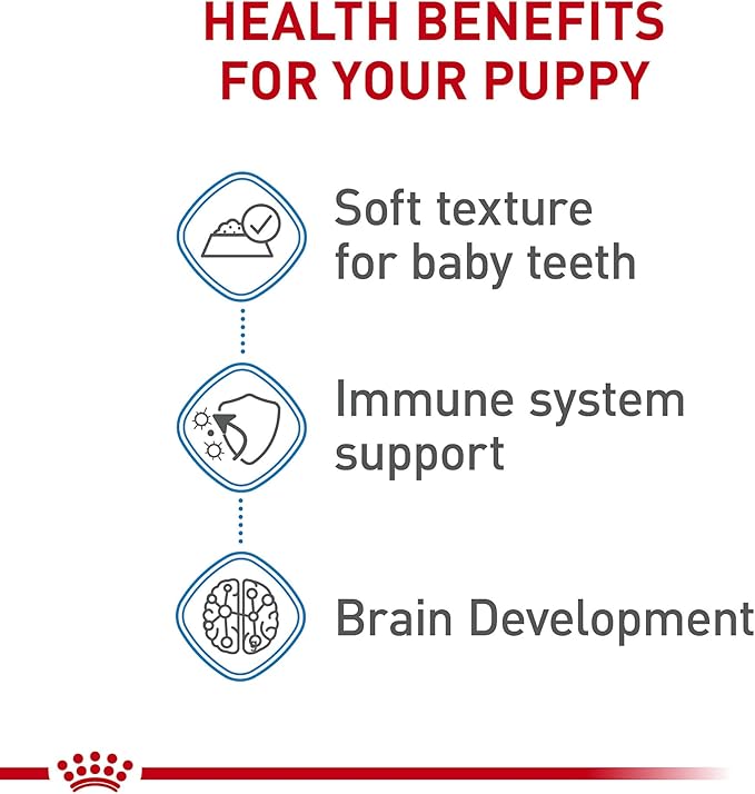 Royal Canin Size Health Nutrition Large PuppyThin Slices in Gravy Dog Food, 13 oz (Pack of 12)