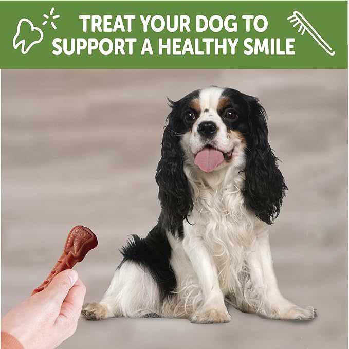 WHIMZEES Wellness Daily Brushzees Dog Dental Treats, Small Size Stick, (14 Count)