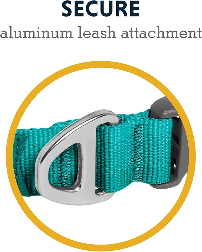 Ruffwear, Front Range Dog Collar, Adjustable Tubelok Webbing, Lightweight, Side Release Buckle, Aluminum V-Ring, Durable for Everyday Use, Aurora Teal, 11"-14"