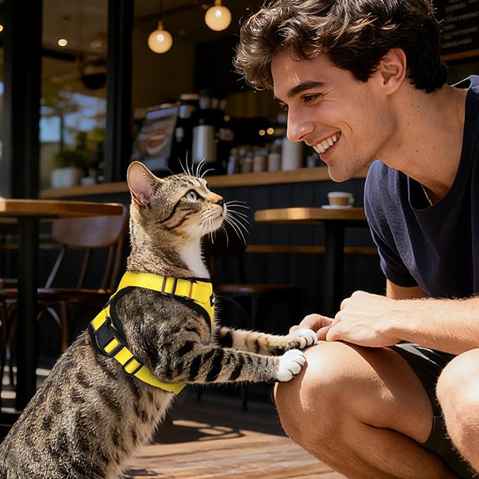 Dooradar Cat Harness and Leash Set, Escape Proof Safe Adjustable Kitten Vest Harnesses for Walking, Easy Control Soft Breathable Mesh Jacket with Reflective Strips for Cats, Yellow, XXS