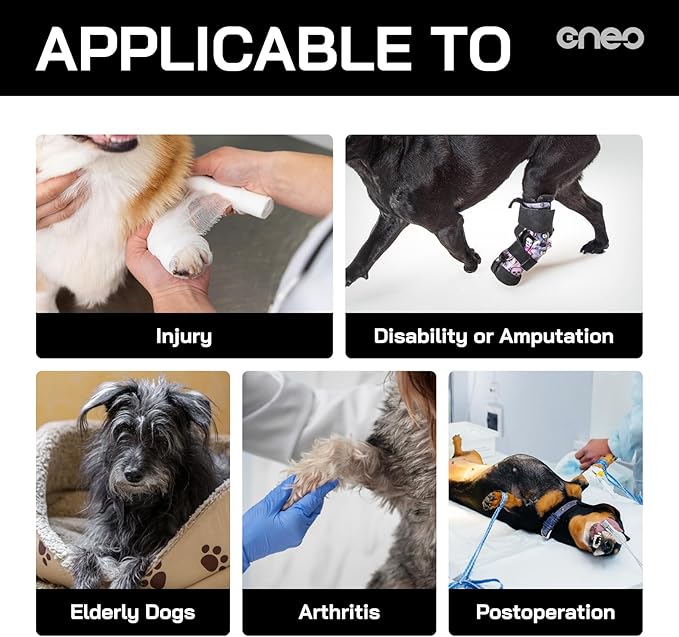 CNEO Dog Lift Harness, Dog Sling for Medium Large Dogs, Adjustable Dog Support Harness for Back Legs, Comfy Design Pet Harness with Padded for Elderly, Injured, Arthritic, Senior, Disabled Dogs