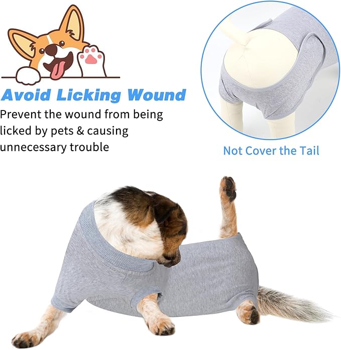 2 Packs Breathable Cotton Dog Recovery Suit for After Neuter Spay Abdominal Wounds Protector, Professional Anti-Licking Onesies for Male Female Pets Surgery Bandages, S Grey Blue Pure