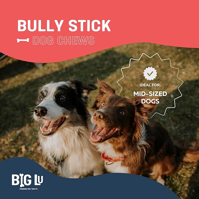 Big Lu - 6” Bully Sticks, 5 Count, Long-Lasting, Low-Odor, 100% Grass-Fed Beef Chews for All Dog Breeds, Natural Single-Ingredient, Fully Digestible Treats
