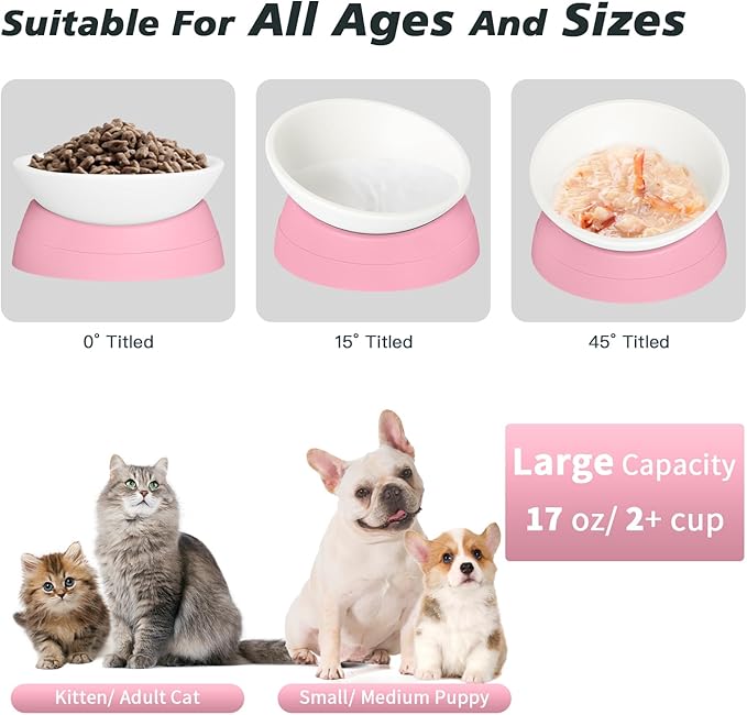 Cat Bowls Elevated Cat Food Bowl Adjustable Cat Dish Anti-Slip and Anti-Noise Raised Cat Bowl Protecting Pet’s Spine Thickened Plastic Bowl Suitable for Indoor Cats, 17 Oz