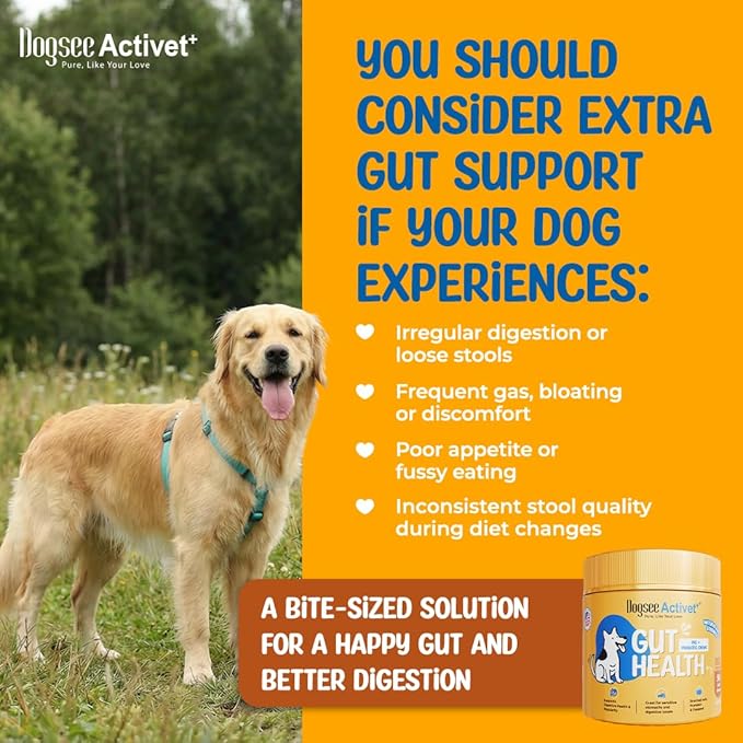 Dogsee Activet+ Dog Gut Health Supplement Chews, with Probiotics, Prebiotics, Digestive Enzymes & Fiber, Digestion & Regularity Support, Chicken Flavor – 90 Chews
