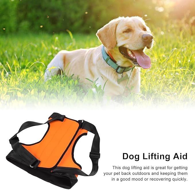 Dog Lift Harness, Dog Sling, Adjustable Pet Support Harness for Back Legs, Dog Harness Help with Poor Stability, Reduced Mobility Dog for Elderly, Senior, Disabled Dogs (Back Leg Size M)