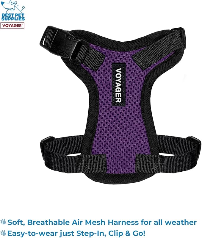 Best Pet Supplies Voyager Step-in Lock Pet Harness w Reflective Pet Leash Combo Set with Neoprene Handle 5ft - Supports Small, Medium and Large Breed Puppies/Cats - Purple/Black Trim, XXS