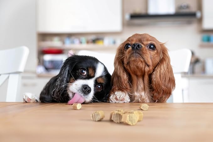Hive Bites Training Treats for Dogs – Peanut Flavor – Small Reward Treats Made with Ground Peanuts & Honey – Vegetarian, No Grain or Soy – 12 oz