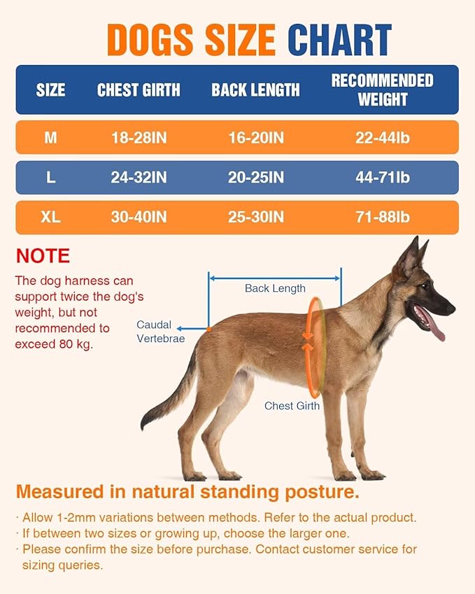 Dog Pulling Harness Set with Waist Belt & Shock-Absorbing Leash, Adjustable Sled Harness for Running, Hiking & Biking, Medium Large Dogs- L Size