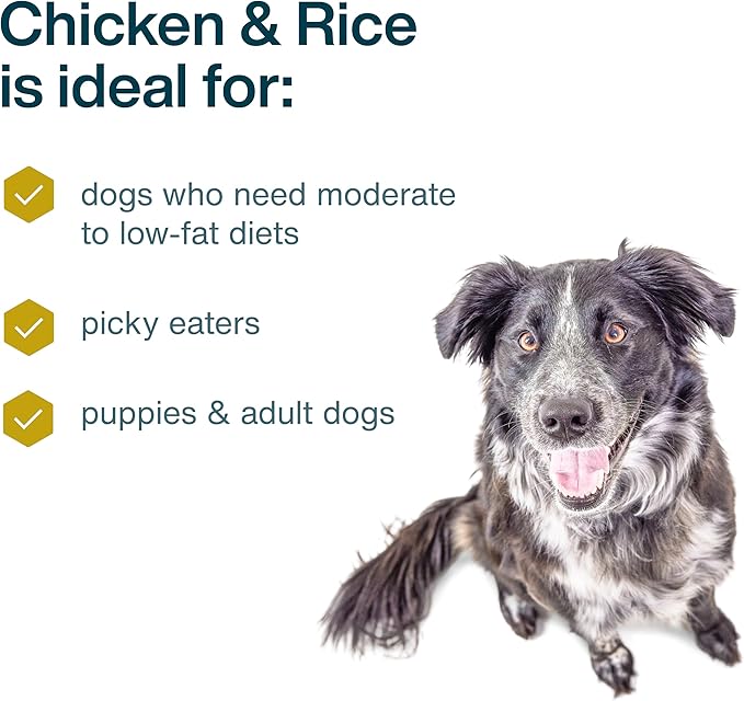 JustFoodForDogs Frozen Fresh Dog Food, Complete Meal or Dog Food Topper, Chicken & Rice Human Grade Dog Food Recipe, 72 oz (Pack of 7)