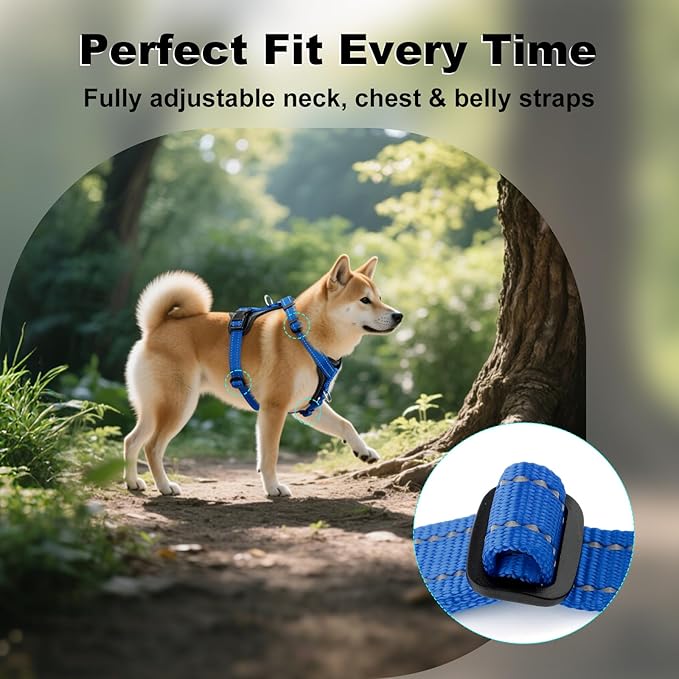 Plutus Pet Adjustable No Pull Dog Harness with Leather Accents, Heavy Duty Reflective Nylon Vest for Training, Hiking, Easy Walk Harness for Small, Medium, Large Dogs (Royal Blue, M)