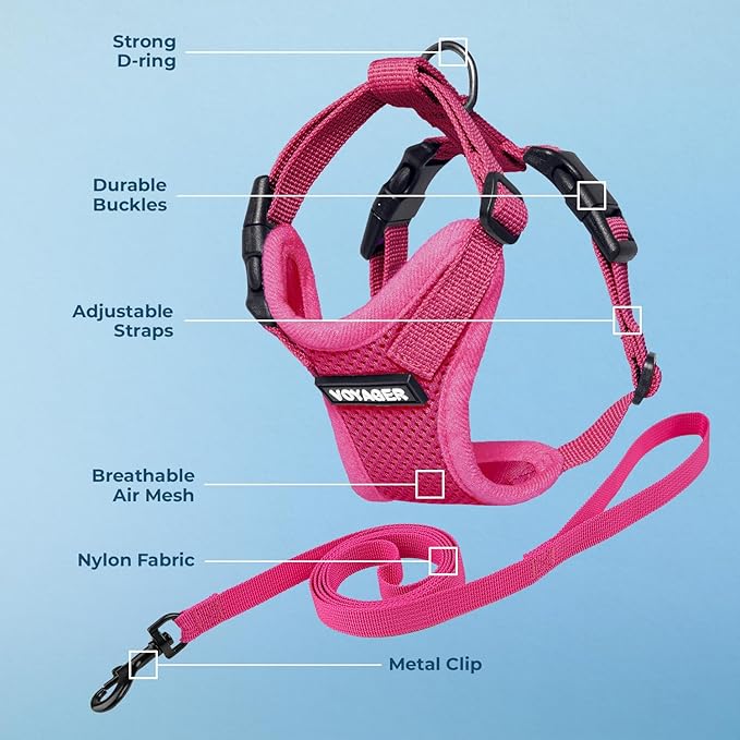 Voyager Escape-Proof Step-in Lock Cat Harness & 5ft Neoprene-Handle Leash Set All-Weather Mesh with Reflective Stitching for Small to Large Cats by Best Pet Supplies, Fuchsia, XS