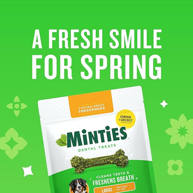 Minties Dental Chews for Dogs, 24 Count, Vet-Recommended Mint-Flavored Treats for Large Dogs Over 50 lbs, Dental Bones Clean Teeth, Fight Bad Breath, and Removes Plaque and Tartar