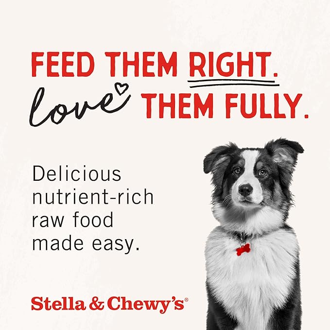 Stella & Chewy's Freeze-Dried Raw Beef Meal Mixers- Dog Food Topper and Mixer - Made with 95% Grass-Fed Beef, Organs & Bone - Perfect for Picky Eaters - Grain-Free - 1 oz