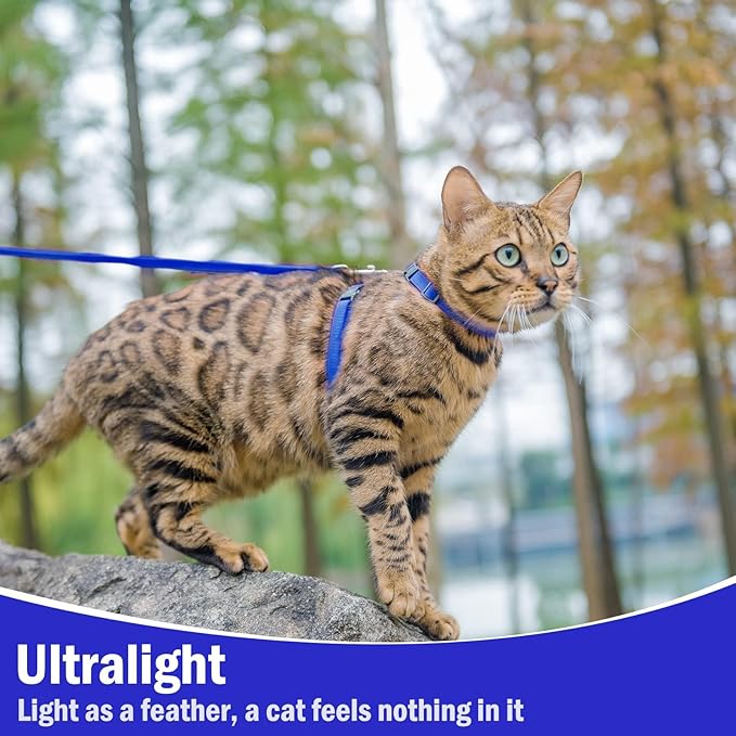 PUPTECK Adjustable Cat Harness and Leash Set Escape Proof Kitten Strap Collar for Walking Travel, Blue