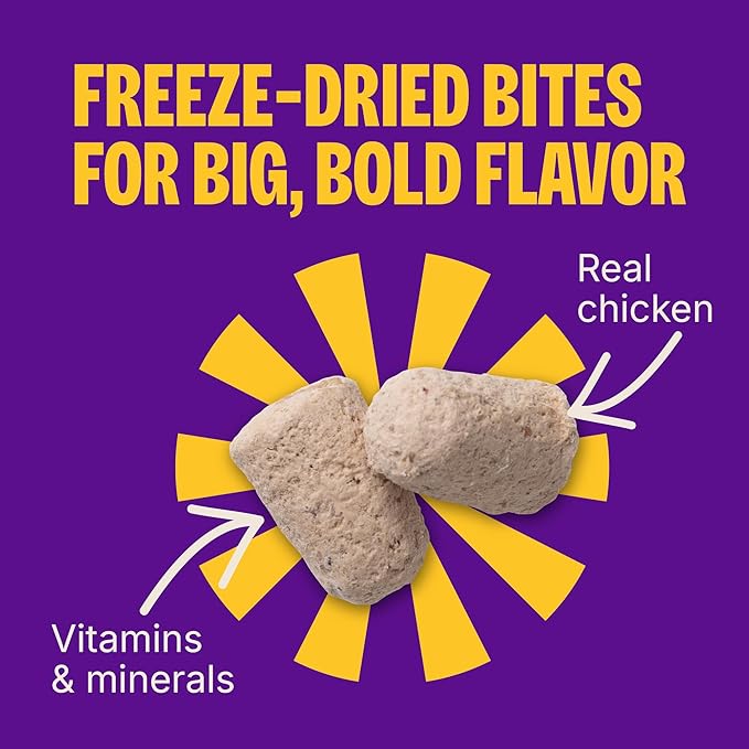 Wellness Complete Health+ Dry Dog Food, Adult Small Breed Turkey & Oatmeal Recipe with Freeze-Dried Wellbites (3.75 Pound Bag)