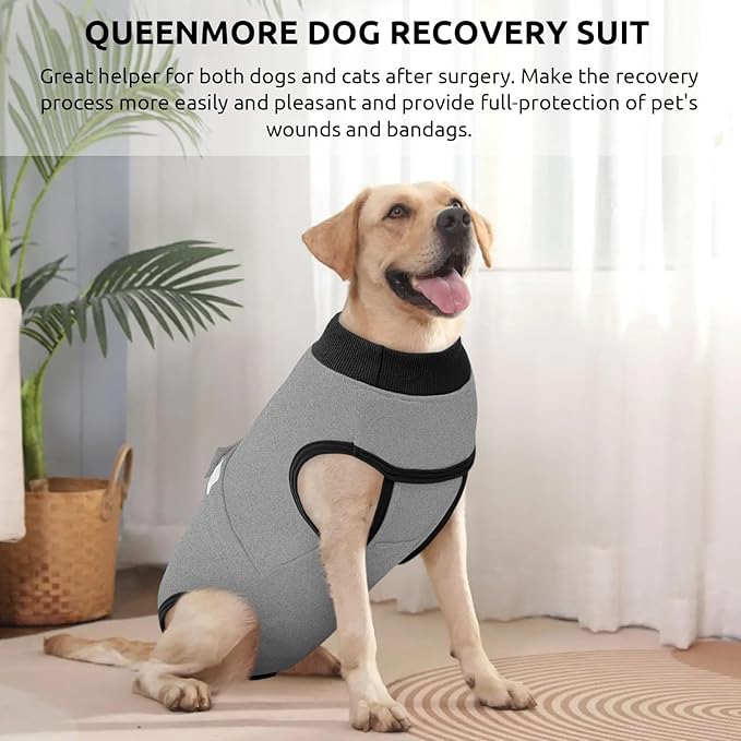 Queenmore Recovery Suit for Dogs Cats After Surgery,Dog Surgical Recovery Suit Onesie,Anti Licking Pet Female Post-Operative Spayed Neutered Puppy Surgical Clothes for Abdominal Wounds, Grey S