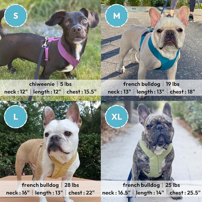 Gooby Comfort X Harness Dual Snap - Yellow, Large - No Pull Small Dog Harness with Rotational Buckles and Patented Choke-Free X Frame - Dog Harness for Medium Dogs No Pull and Small Dogs