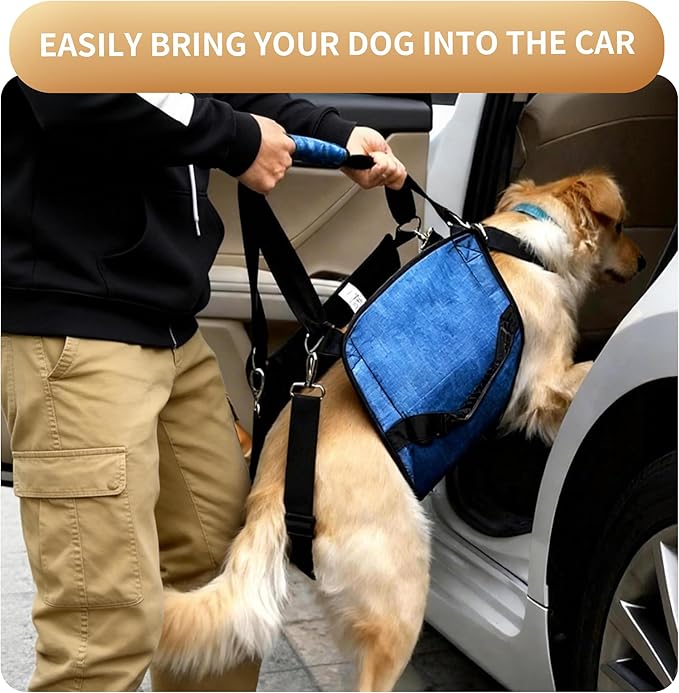 Dog Lift Harness for Large Dogs, Dog Sling Carrier with Lifting Handle for Mobility Assistance, Senior Dogs with Arthritis, Hip Dysplasia & Post-Surgery Recovery, XL