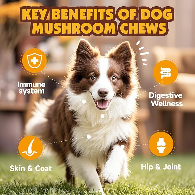Mushroom Chews for Dogs, Turkey Tail Mushroom for Dogs, Immune Health, Digestive, Skin, Energy, Joint Support, 13 Organic Mushroom Complex with Shiitake, Maitake, Reishi, Lion's Mane, 140 Chews