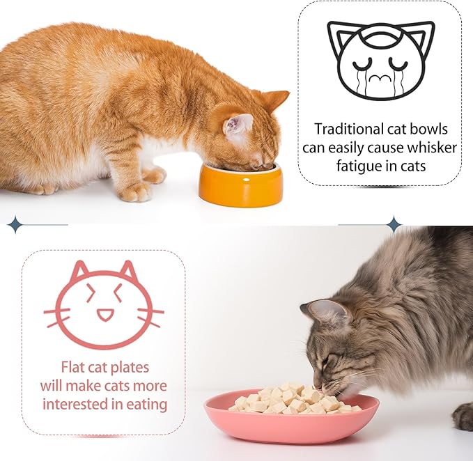 Tioncy 24 Pcs Fatigue Relief Cat Bowl 5.7 Inch Shallow Cat Food Dish Wide and Small Pet Wet Feeding Bowl for Kitten Short Legged Kitten Ferrets Feral Small Animals (Blue, Green, Pink, Beige,Cute)