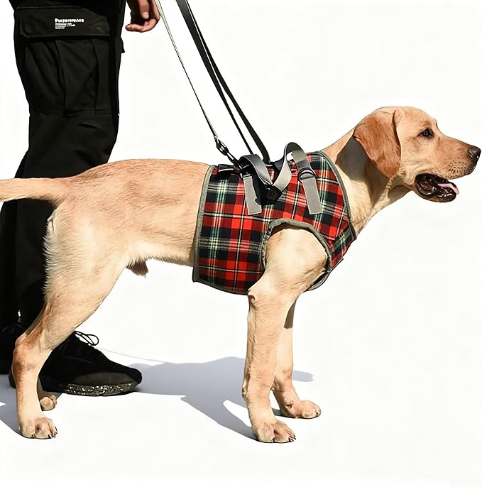 Dog Lift Harness with Handle – Adjustable Pet Support Sling for Rear Legs & HIPS, Padded Detachable Handle, Senior Dog Mobility Aid & Post-Surgery Walking Help(Front Legs red,M)