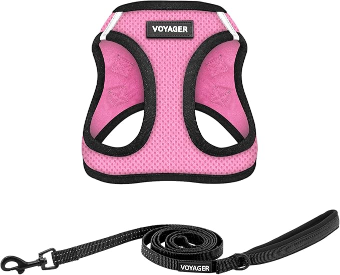Best Pet Supplies Voyager Step-in Air All Weather Mesh Harness and Reflective Dog 5ft Leash Combo with Neoprene Handle, for Small, Medium and Large Breed Puppies - Set (Pink/Black Trim), XXX-Small