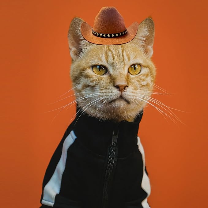 Dog Cowboy Hat Cat Cowboy Hat Pet Cowboy Costume Mini Cowboy Hat for Dogs Cat Holiday Halloween Pet Party Decoration (Brown, Small)