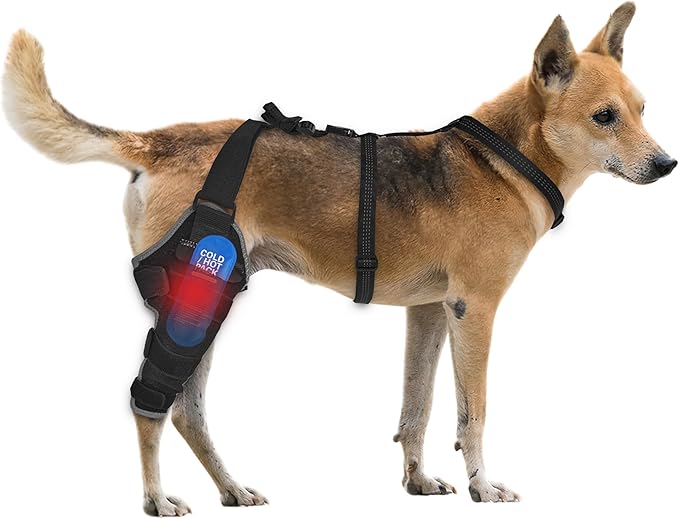 Dog Knee Brace for Back Leg - Adjustable Breathable Canine Leg Wrap with Hot & Cold Gel Packs - Supports Large & Medium Dogs with Arthritis, Hip Dysplasia, ACL Injuries, Right Hind Leg (M)