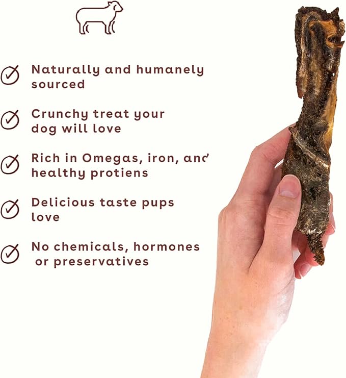 Pupford Crunchy Jerky Treats for Dogs & Puppies, Made in USA, Single Ingredient, No Fillers (Lamb, 7 oz) (Pack of 2)