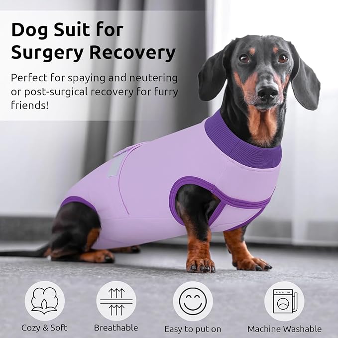 Queenmore Recovery Suit for Dogs After Surgery, XS Dog Onesie Surgery Recovery Suit, Professional Pet Recovery Shirt, Prevent Licking Dog Body Suits After Surgery,Purple,XS