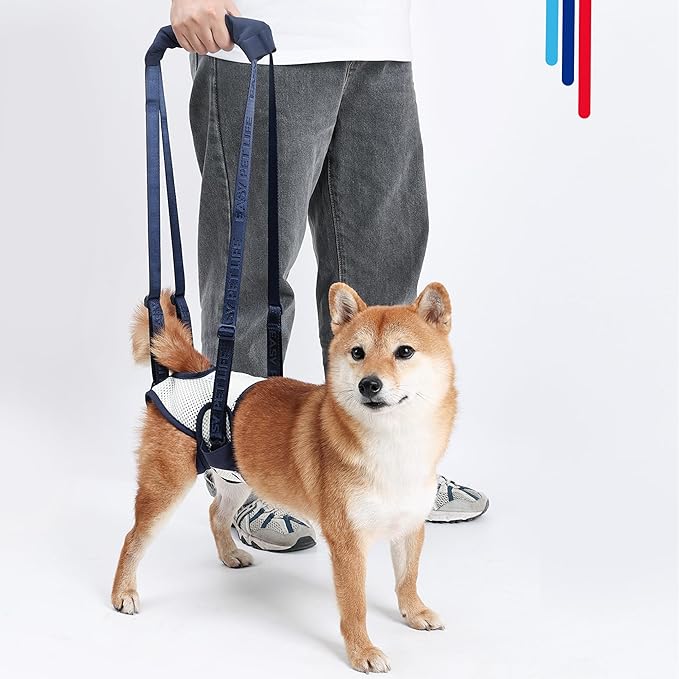 Dog Lift Harness for Back Legs - Adjustable Mobility Aid for IVDD/Paralyzed/Senior Dogs (3-in-1 Sling Design), Comfortable Leg Support, Instantly Help Your Dog Walk Again (Blue, M)