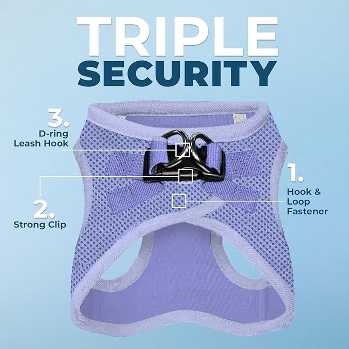 Best Pet Supplies Voyager Step-in Air Harness - All Weather Mesh, Reflective, No Pull Harness for Dogs, Cats - Secure with Hook & Loop Fastener, Buckle, Double D-Rings - Lavender, XXS