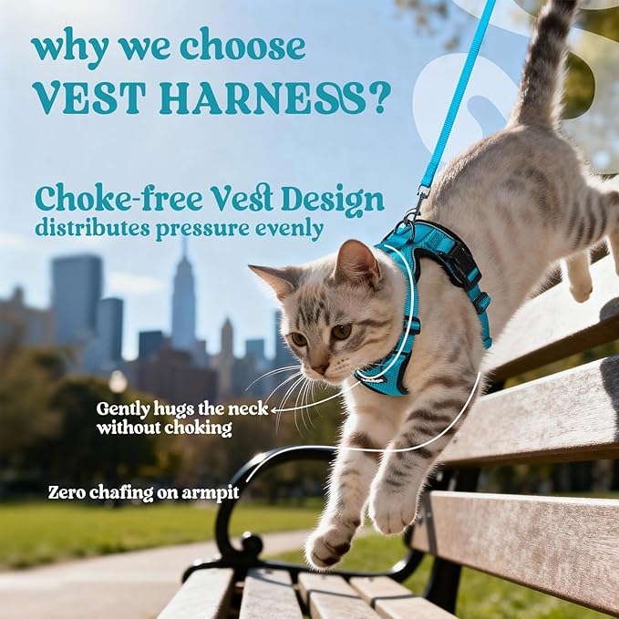 rabbitgoo Cat Harness and Leash for Walking, Escape Proof Soft Adjustable Vest Harnesses for Cats, Easy Control Breathable Reflective Strips Jacket, Teal, S