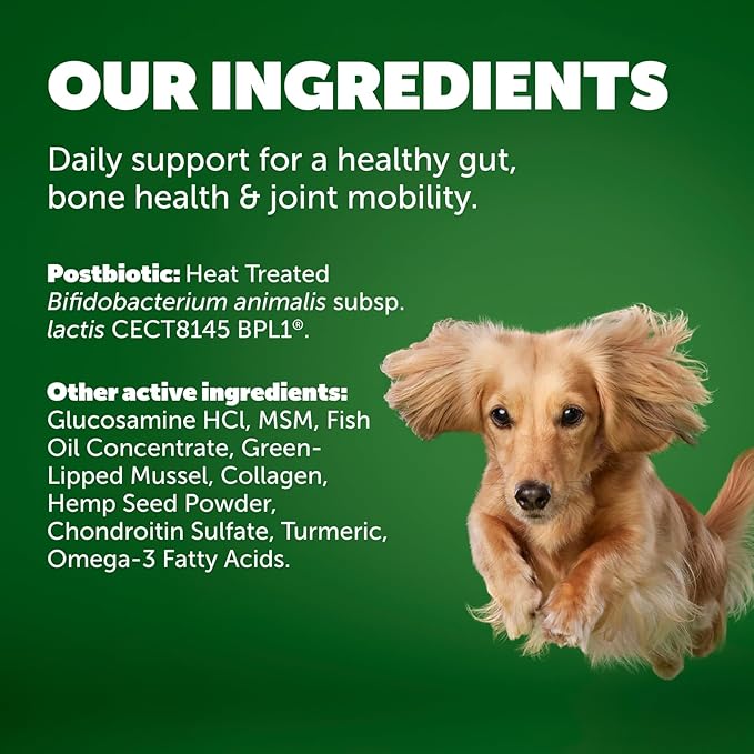 Protexin Daily Care Gut+ Mobility | 60 Dog Chews, Chicken and Bacon Flavor Dog Supplement | Probiotics for Dogs, Dog Postbiotics