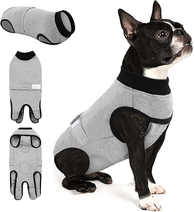 Queenmore Recovery Suit for Dogs Cats After Surgery,Dog Surgical Recovery Suit Onesie,Anti Licking Pet Female Post-Operative Spayed Neutered Puppy Surgical Clothes for Abdominal Wounds, Grey XS