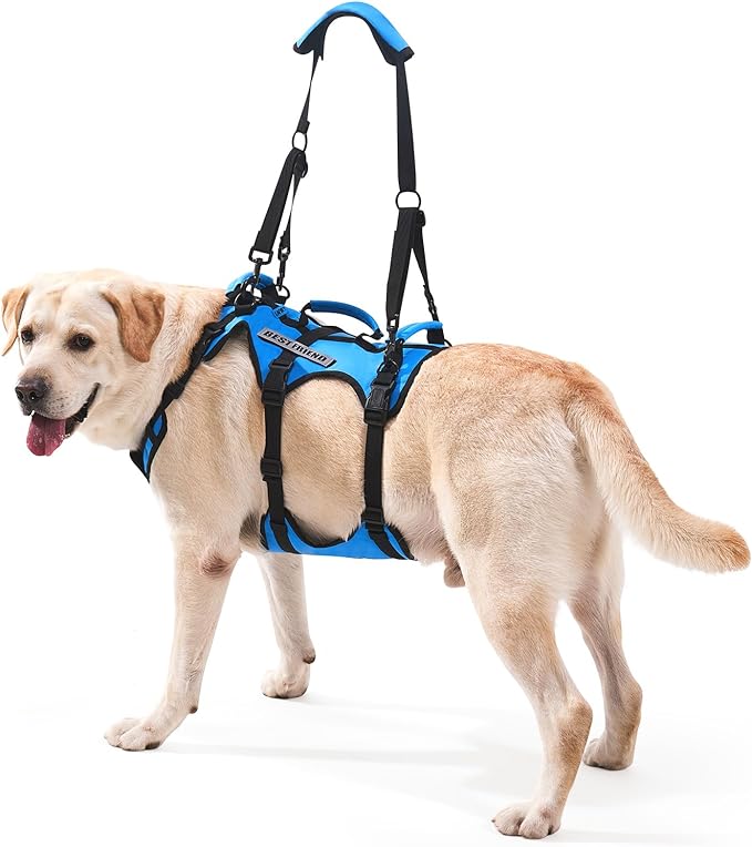 Dog Lift Harness for Large Dogs, Full Body Support Sling with 3 Handles and Shoulder Strap, Carrying Vest for Senior Dogs with Arthritis or Joint Injuries, Stairs Assistance, Blue, Large