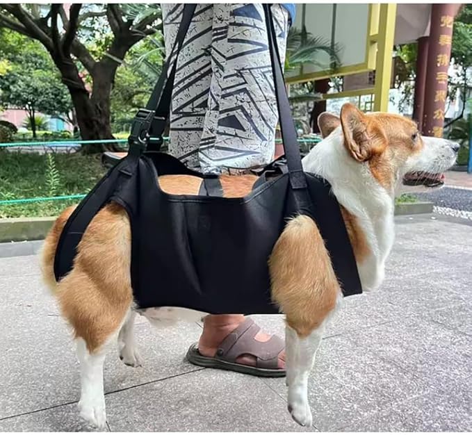 Dog Lift Harness for Rear Legs, Adjustable Support Sling with Handle for Mobility Aid, Helping Senior Dogs, Disabled Pets, Arthritis Relief and Post Surgery Recovery(M(26-35) pounds)
