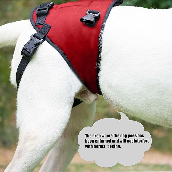 Dog Lift Harness, Dog Sling for Large Dogs Hind Leg Support, Adjustable Soft Padded Rehab Harness for Weak Rear Legs Elderly Injured Disabled Arthritic Dogs