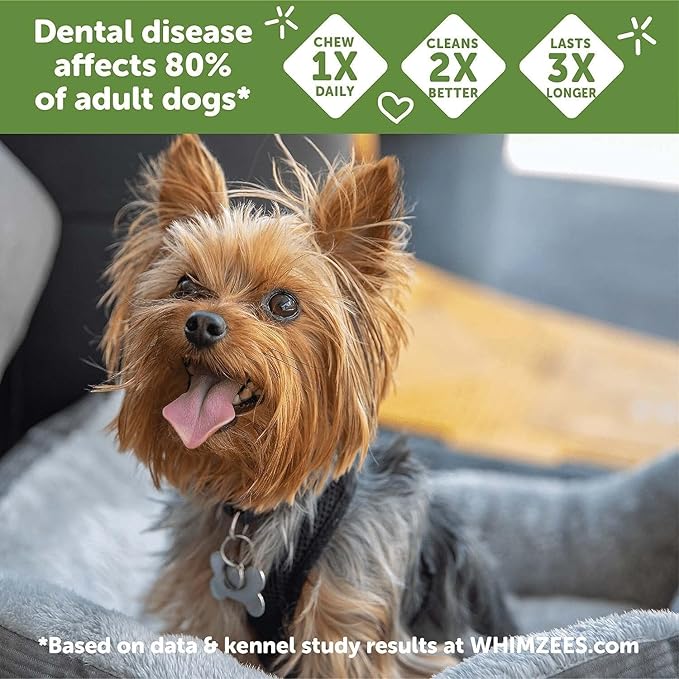 Whimzees Dental Dog Treats - Natural Grain-Free Chews for Healthy Teeth & Gums - Variety Pack - Small Breeds - Vegetarian Dental Care Snacks (2-Pack)