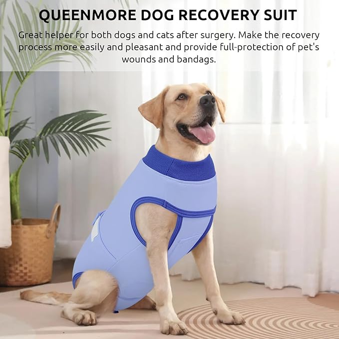 Queenmore Recovery Suit for Dogs Cats After Surgery, Dog Surgical Recovery Suit, Professional Pet Surgical Siut, Prevent Licking Dog Body Suits, Surgical Clothes for Abdominal Wounds, Sky Blue,2XL