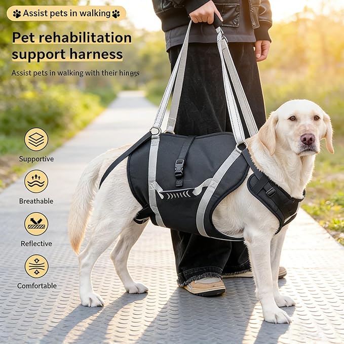 Dog Lift Harness for Senior & Injured Pets, Full Body Support Rehabilitation Dog Sling Carrier with Handles, Front/Rear Leg Assist for Arthritis, Hip Dysplasia & Post-Surgery Recovery XXL