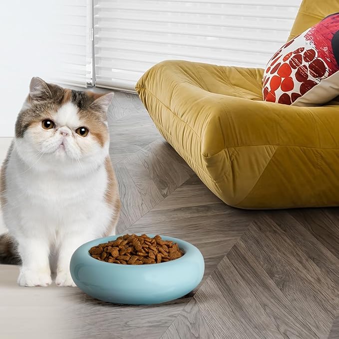 6.1 Inch Cat Bowls, 7 oz Ceramic Cat Food Bowl, Whisker Fatigue Relief Cat Bowl, Anti-Vomiting, Protect Spine, Perfect for Indoor Cats（Blue）