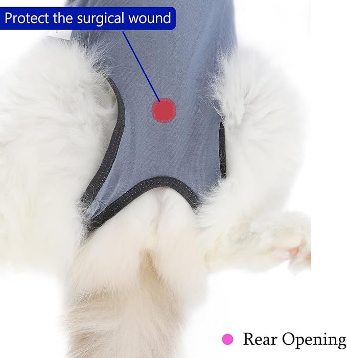 kzrfojy Cat Surgery Recovery Suit Cat Onesie for Cats After Surgery Spay Surgical Abdominal Wound Skin Diseases E-Collar Alternative Wear (Grey-Blue-L)