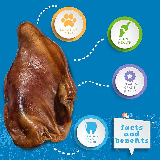 Jack&Pup Whole Pig Ears for Dogs - All Natural Single Ingredient Extra Thick Large Pigs Ears - Premium Dog Pig Ear Treats - Natural Dog Pork Chews; Excellent Rawhide Alternative (25 Pack)