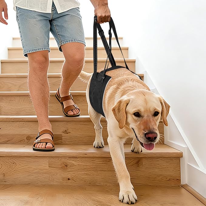 Dog Sling Adjustable Dog Lift Harness: Hip Support Sling for Dog, Dog Rehab Harness for Weak Rear Legs, Helps Disabled, Senior, Injured, and After ACL Surgery Dogs, Black for Large Dogs