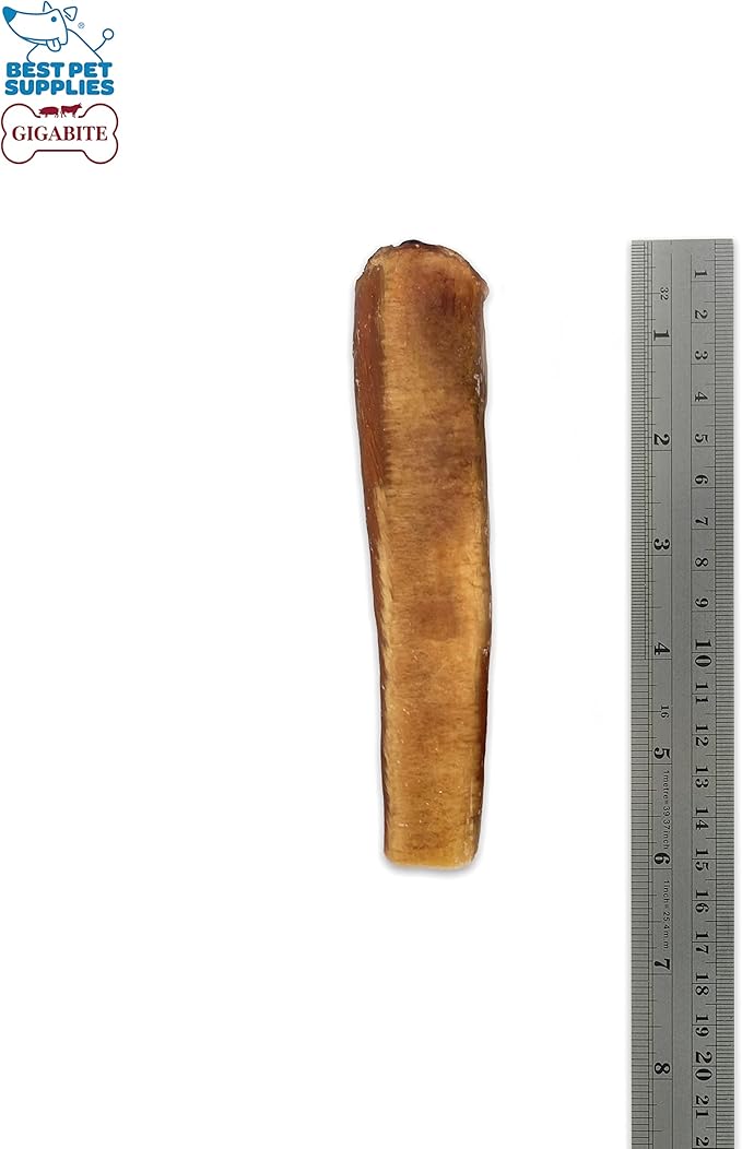 GigaBite Bully Sticks for Dogs All Natural Beef Pizzle Dog Chews, Odor & Rawhide Free Dog Treats, Long Lasting High Protein Chews Digestible Dental Dog Treat - Sticks (Monstrous 6"), Pack of 8