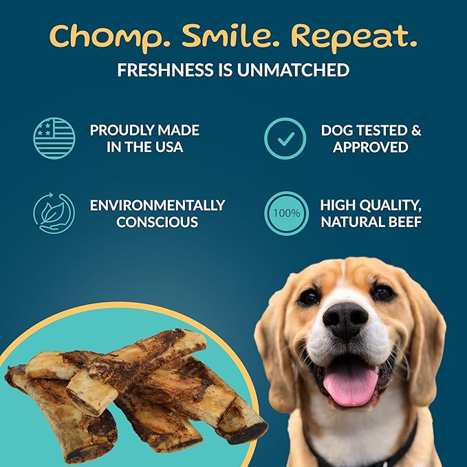 TREATOPIA Adventure Tail Wagger Dog Bones, 5-Piece 8–10" Beef Rib – Long-Lasting Natural Chews for Medium & Large Dogs, USA Made, Single Ingredient, Hand-Trimmed, Slow-Roasted, No Additives or Fillers