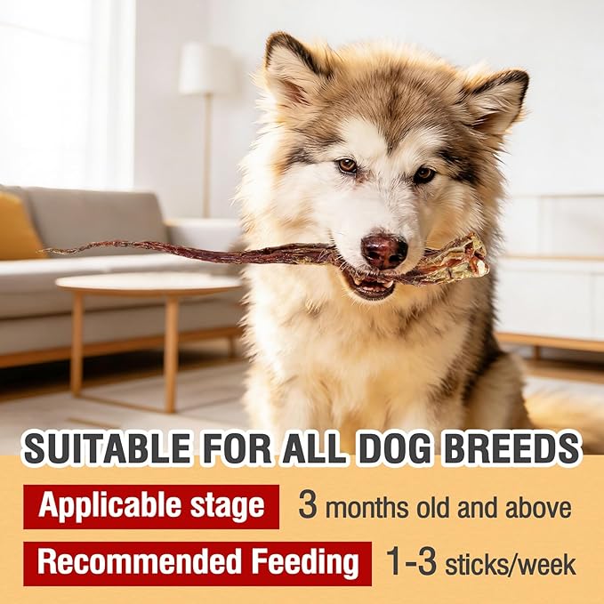 Grass-Fed Beef Tail Bones for Dogs – Durable Chewing Treats, No Additives or Fillers, Supports Teeth & Gum Health,Single Ingredient, Rawhide-Free & Digestible for All Dogs（3 PCS）